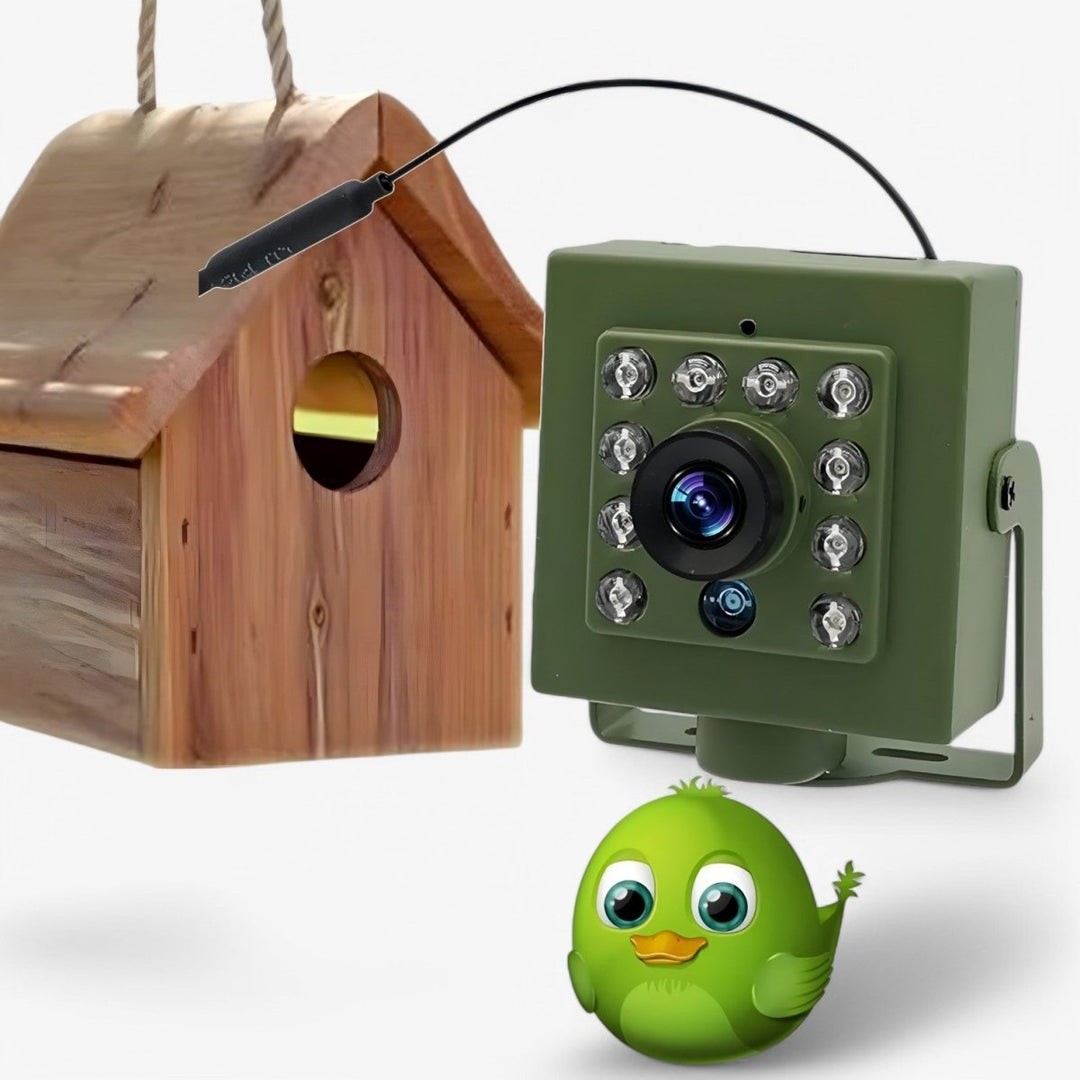 Lisslune | Nestcam WLAN Bird Nest Camera – 1080p HD Weatherproof Wildlife Camera with Night Vision, Motion Detection, and Remote Access
