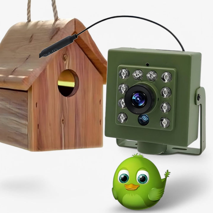 Lisslune | Nestcam WLAN Bird Nest Camera – 1080p HD Weatherproof Wildlife Camera with Night Vision, Motion Detection, and Remote Access