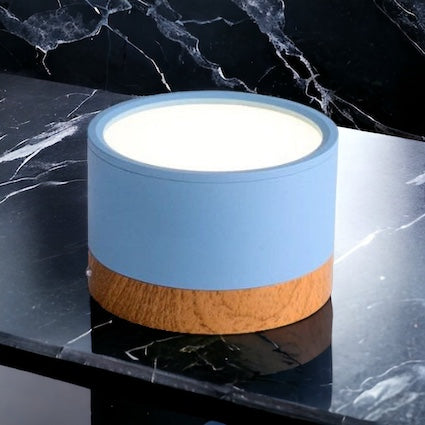 Lisslune | BeamLuxe – Energy-Efficient LED Ceiling Spot in Modern Style