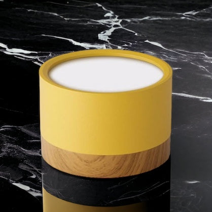 Lisslune | BeamLuxe – Energy-Efficient LED Ceiling Spot in Modern Style