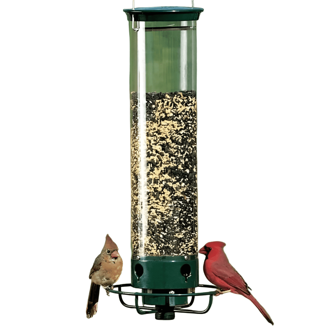 Lisslune | NUTRIGUARD – Squirrel-Proof Bird Feeder with Weight Control
