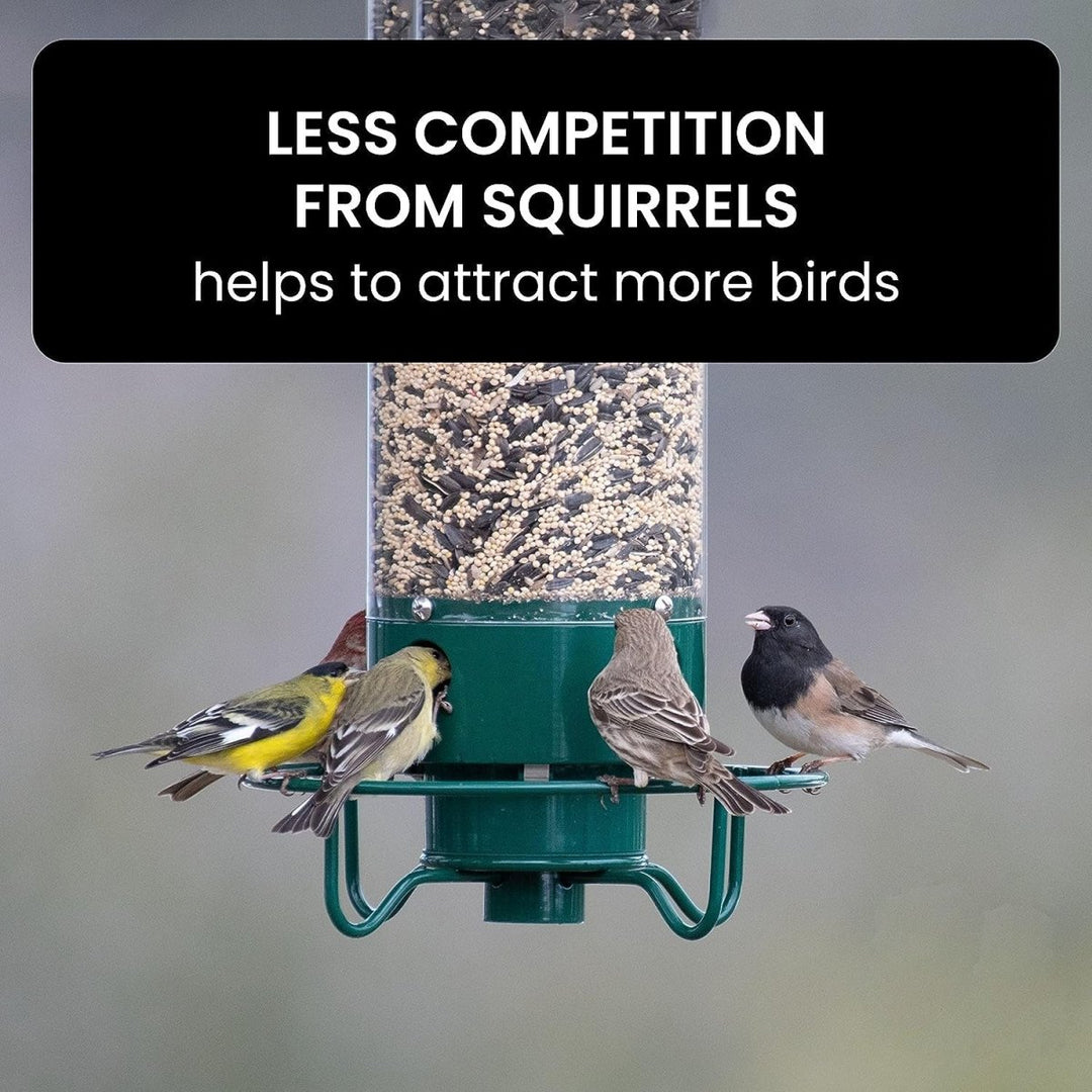 Lisslune | NUTRIGUARD – Squirrel-Proof Bird Feeder with Weight Control