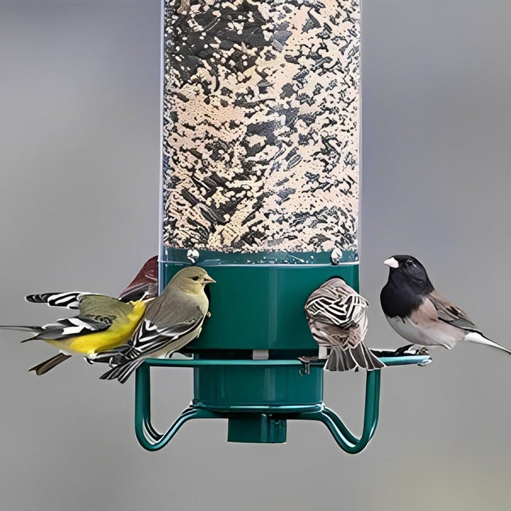 Lisslune | NUTRIGUARD – Squirrel-Proof Bird Feeder with Weight Control