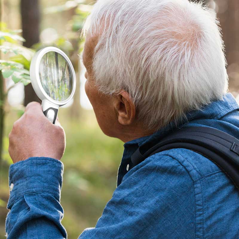 Lisslune | Optical Magnifying Glass