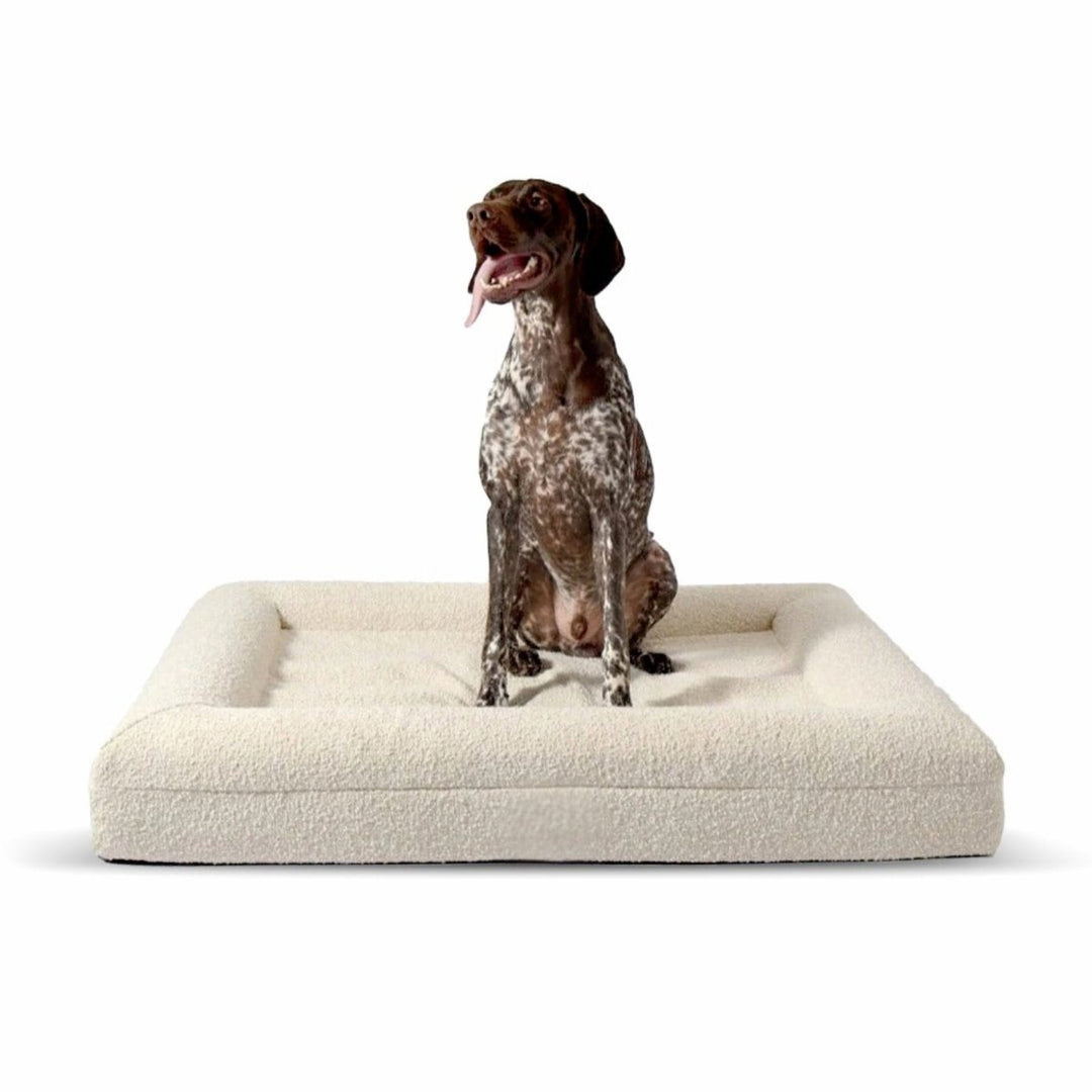 Lisslune | Orthopedic Dog Cushion with Bouclé Cover – Memory Foam and Washable