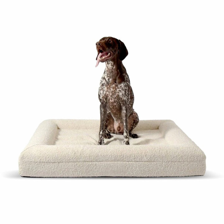 Lisslune | Orthopedic Dog Cushion with Bouclé Cover – Memory Foam and Washable