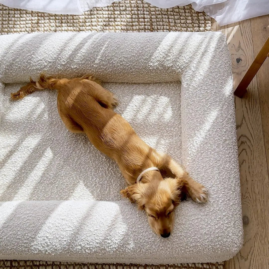 Lisslune | Orthopedic Dog Cushion with Bouclé Cover – Memory Foam and Washable