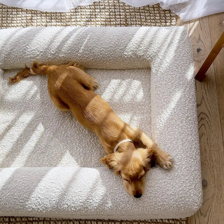 Lisslune | Orthopedic Dog Cushion with Bouclé Cover – Memory Foam and Washable