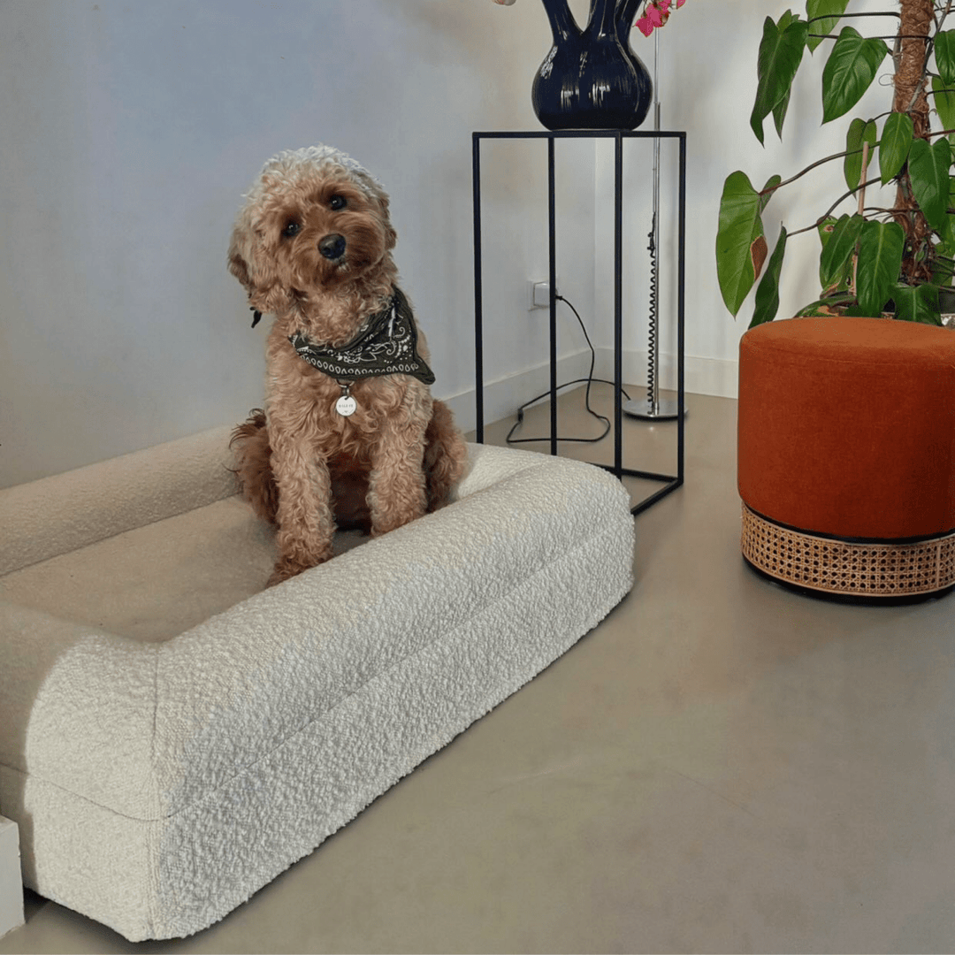 Lisslune | Orthopedic Dog Cushion with Bouclé Cover – Memory Foam and Washable