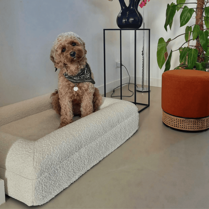 Lisslune | Orthopedic Dog Cushion with Bouclé Cover – Memory Foam and Washable