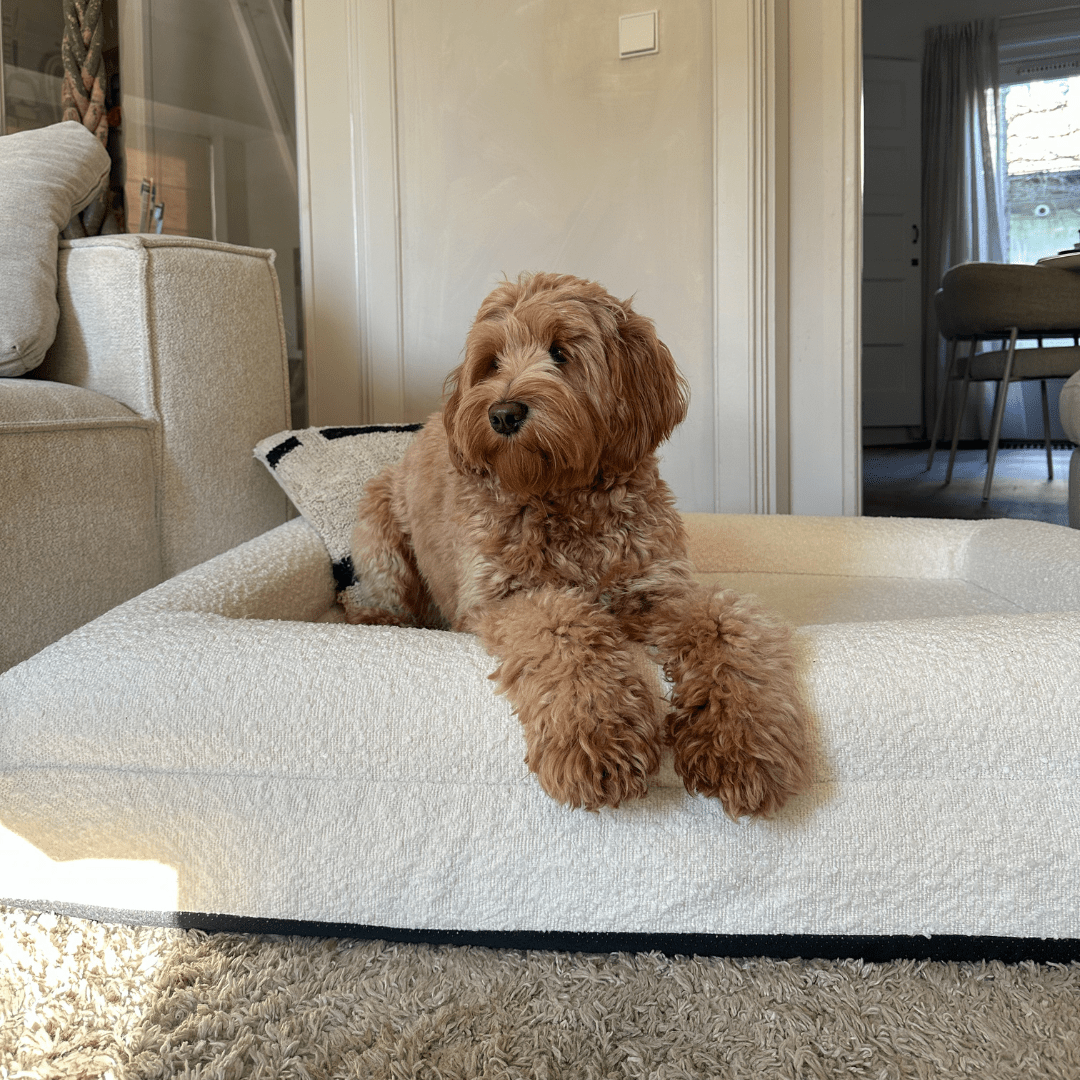 Lisslune | Orthopedic Dog Cushion with Bouclé Cover – Memory Foam and Washable