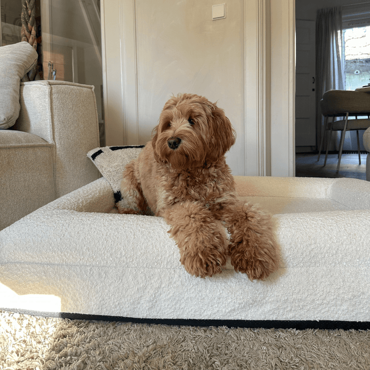 Lisslune | Orthopedic Dog Cushion with Bouclé Cover – Memory Foam and Washable