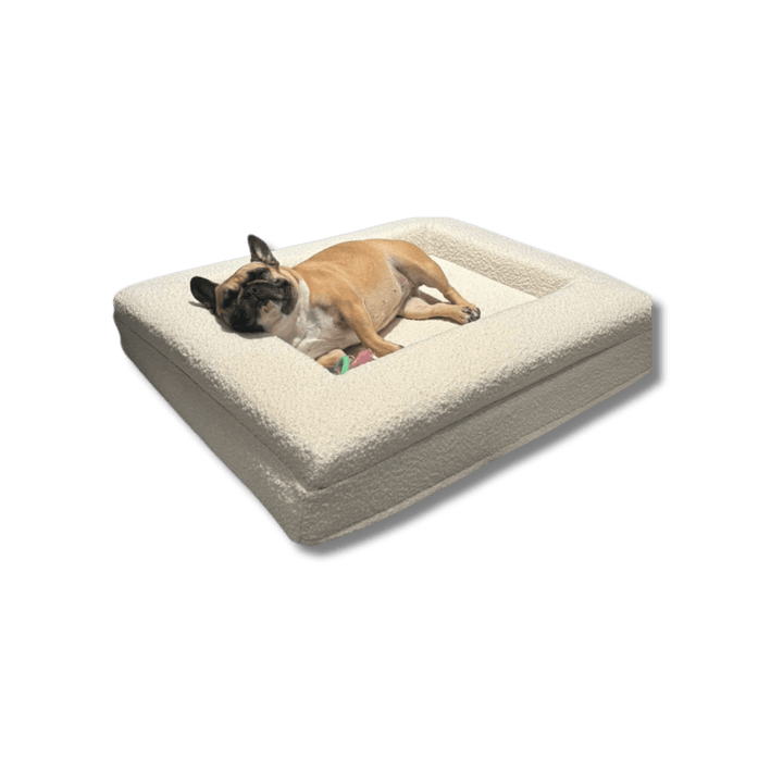 Lisslune | Orthopedic Dog Cushion with Bouclé Cover – Memory Foam and Washable