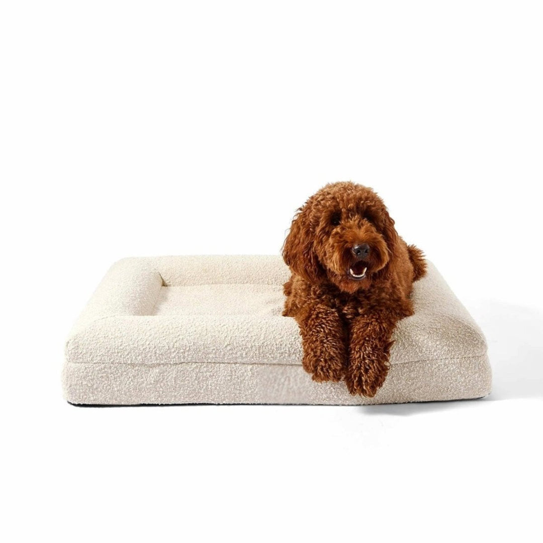 Lisslune | Orthopedic Dog Cushion with Bouclé Cover – Memory Foam and Washable