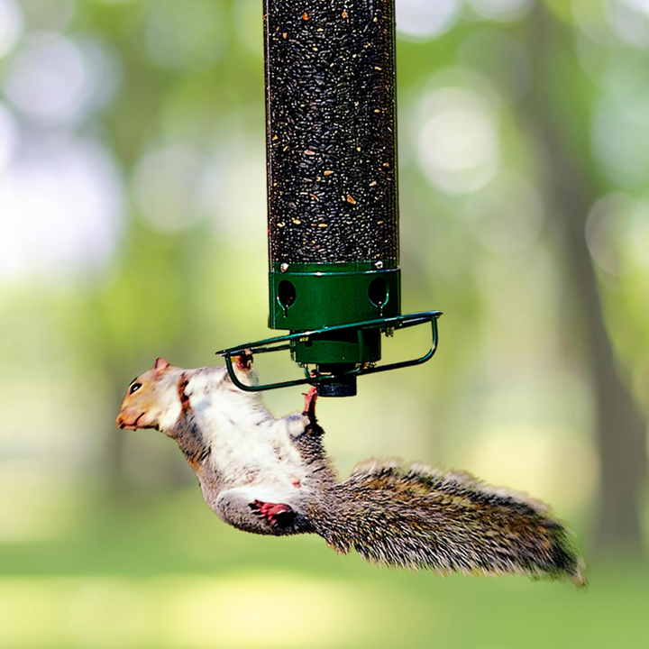 Lisslune | Squirrel Proof Bird Feeder | Heavy-Duty Metal, Multi-Feeding Ports & Ideal for Backyard Birdwatching