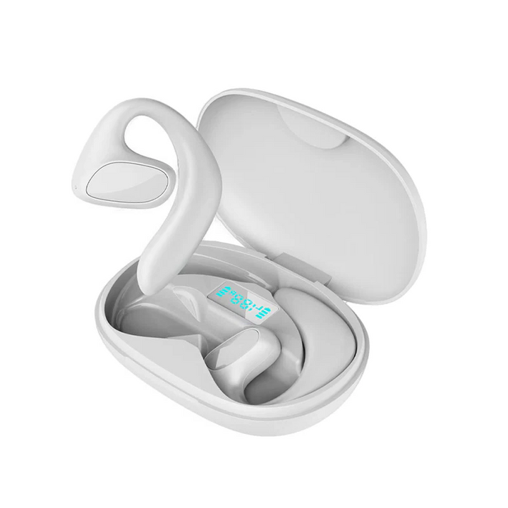 Lisslune | TaalTrek Pro – Realtime Translation Earbuds with Offline Mode and 144 Languages