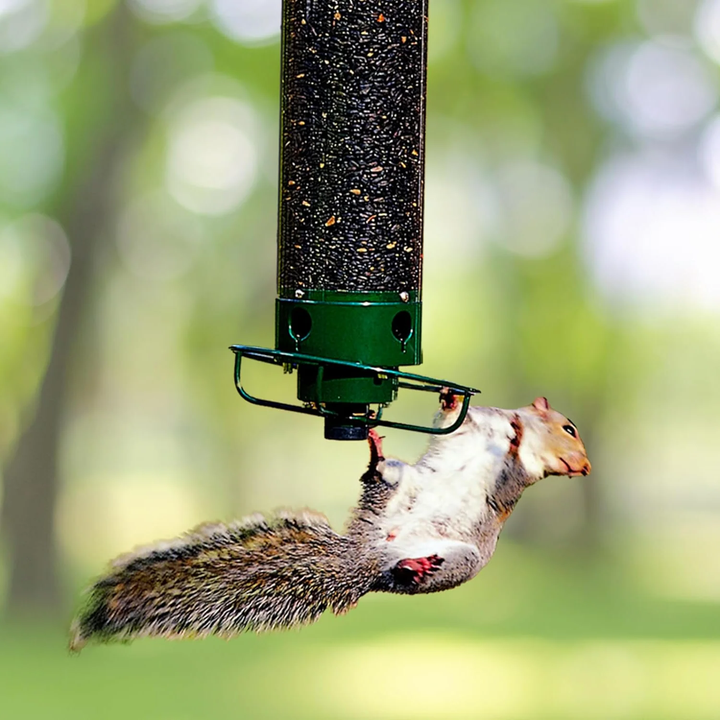 Lisslune | Metal Hanging Squirrel-Proof Bird Feeder for Gardens