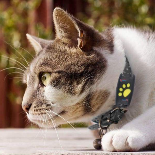 Lisslune | Cat GPS Tracker for Pets Locator Device Microchip