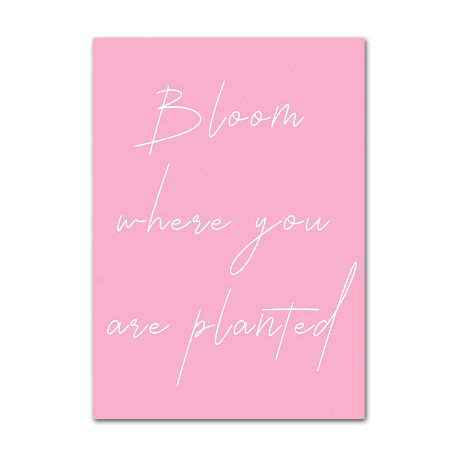 Rynx | Pastel Pink Gallery Wall Art Canvas Poster