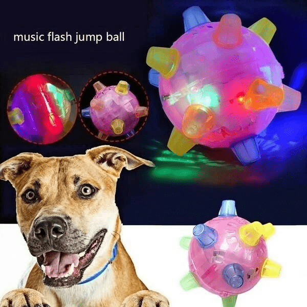 Lisslune | PAWBOUNCE – Interactive LED Bouncing Ball for Dogs