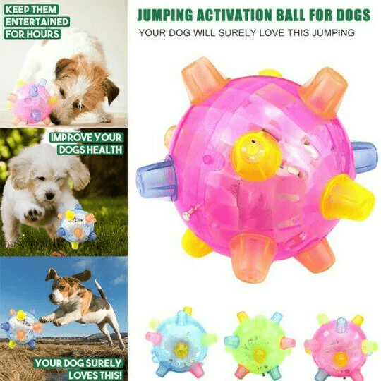 Lisslune | PAWBOUNCE – Interactive LED Bouncing Ball for Dogs