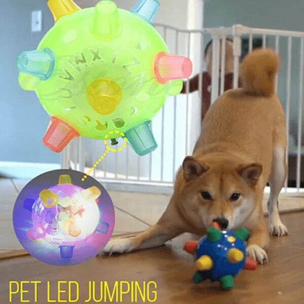 Lisslune | PAWBOUNCE – Interactive LED Bouncing Ball for Dogs