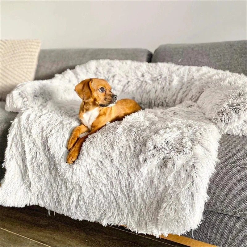 Lisslune | PAWCLOUD SOFA – Cozy Pet Bed with Raised Border and Furniture Guard
