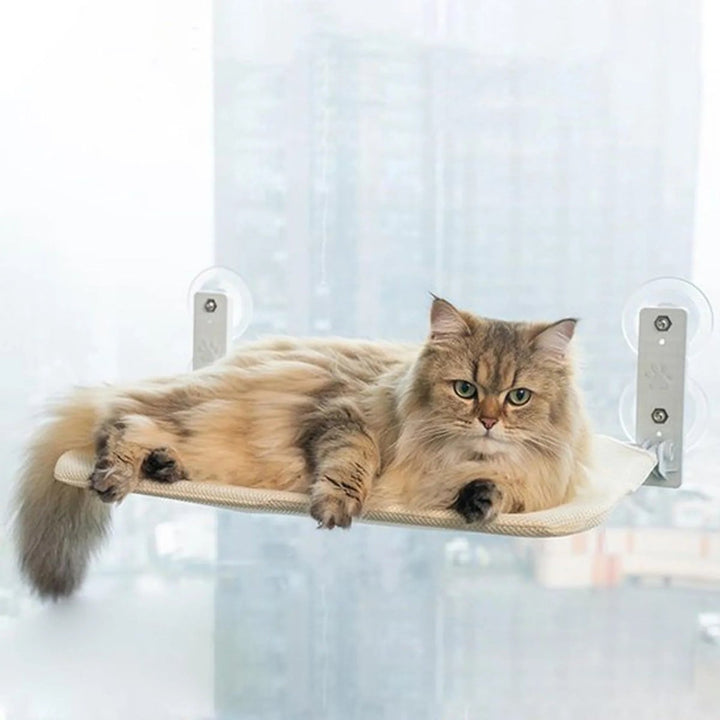 Lisslune | PAWPERCH – Foldable Cat Hammock with Wall-Friendly Mount | No-Drill Window Seat