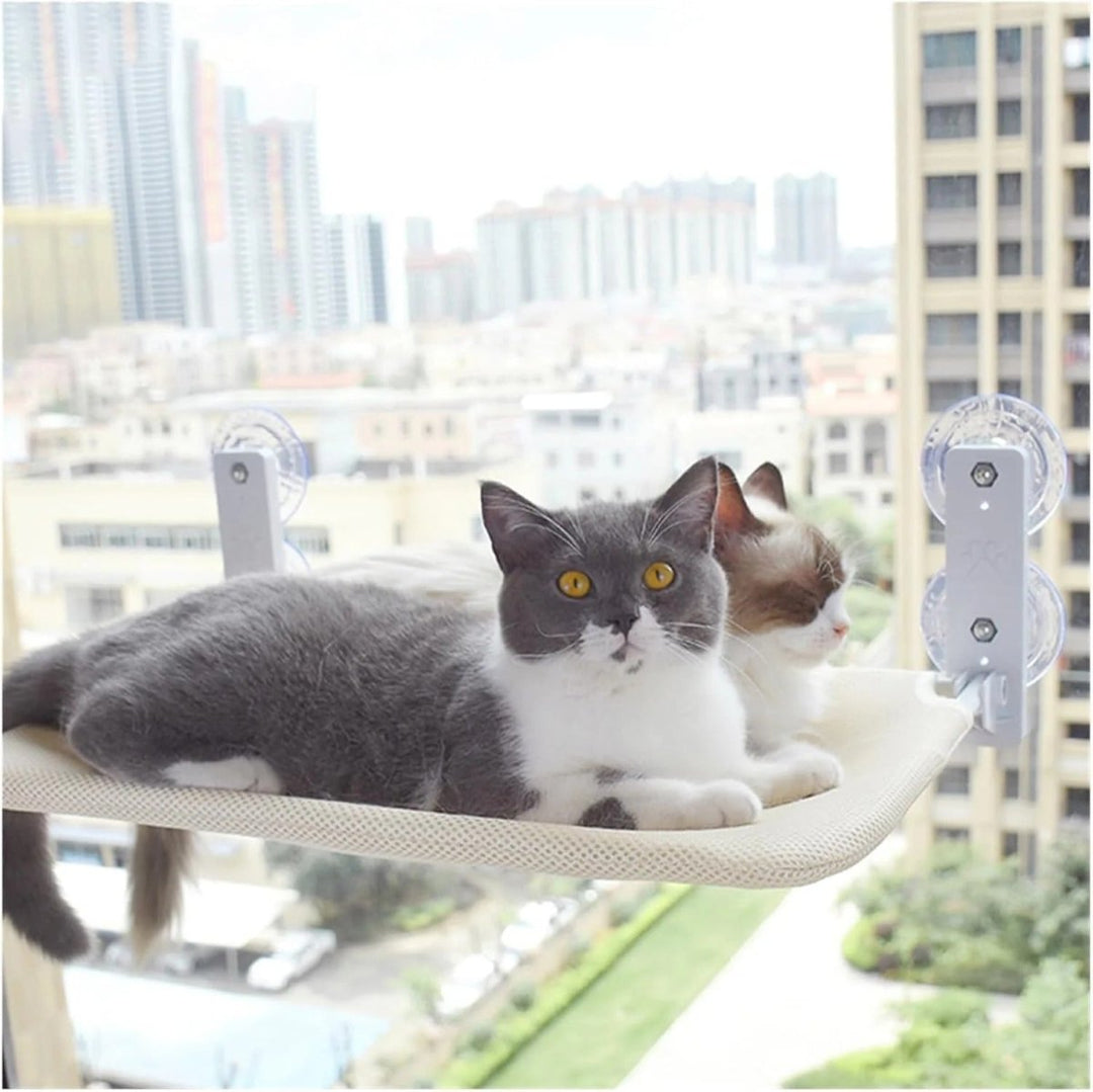 Lisslune | PAWPERCH – Foldable Cat Hammock with Wall-Friendly Mount | No-Drill Window Seat