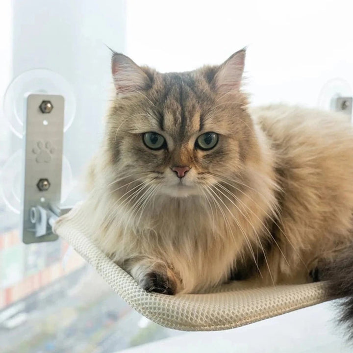 Lisslune | PAWPERCH – Foldable Cat Hammock with Wall-Friendly Mount | No-Drill Window Seat