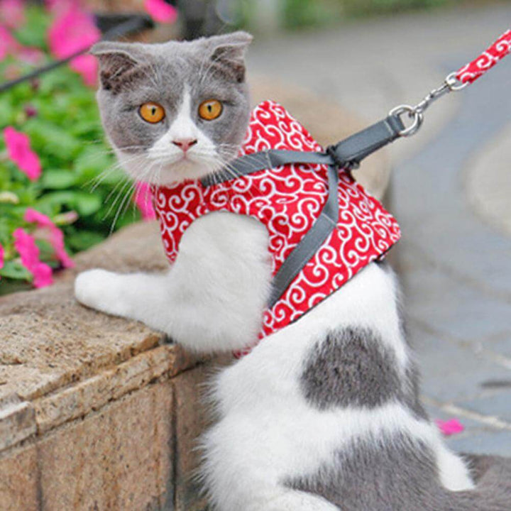 Lisslune | PAWVENTURE HARNESS – Cat Harness Vest Set with Breathable Mesh & Leash