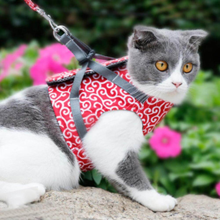 Lisslune | PAWVENTURE HARNESS – Cat Harness Vest Set with Breathable Mesh & Leash