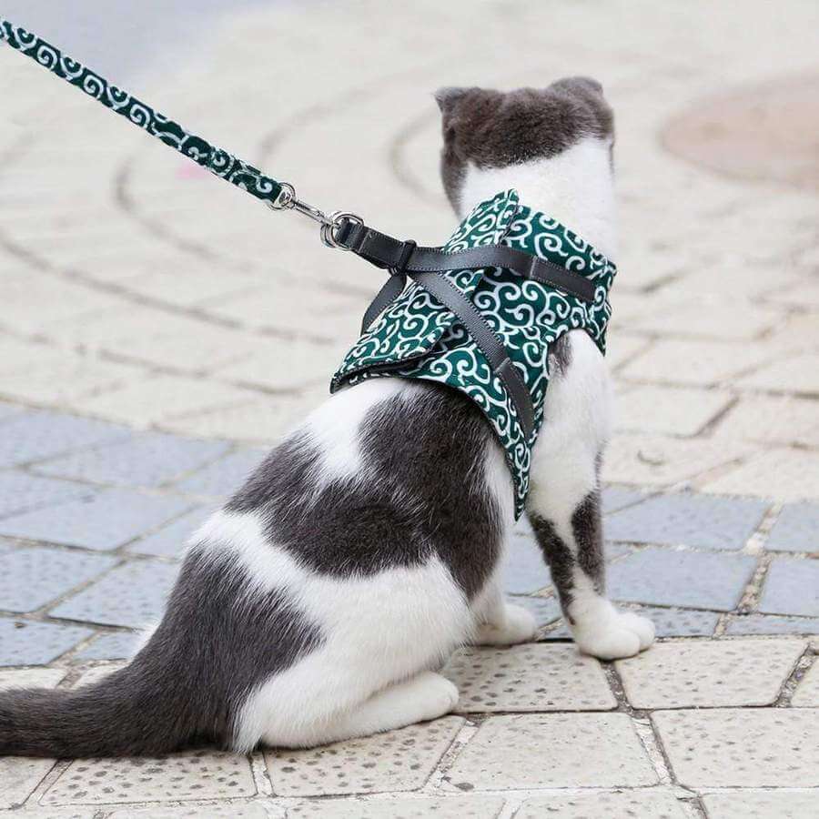 Lisslune | PAWVENTURE HARNESS – Cat Harness Vest Set with Breathable Mesh & Leash