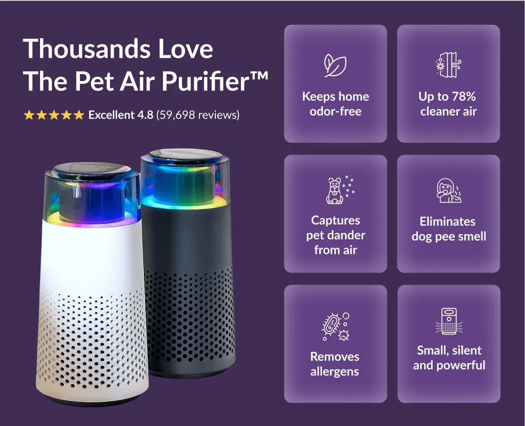 Lisslune | Pet Odour Humidifier – PetFresh