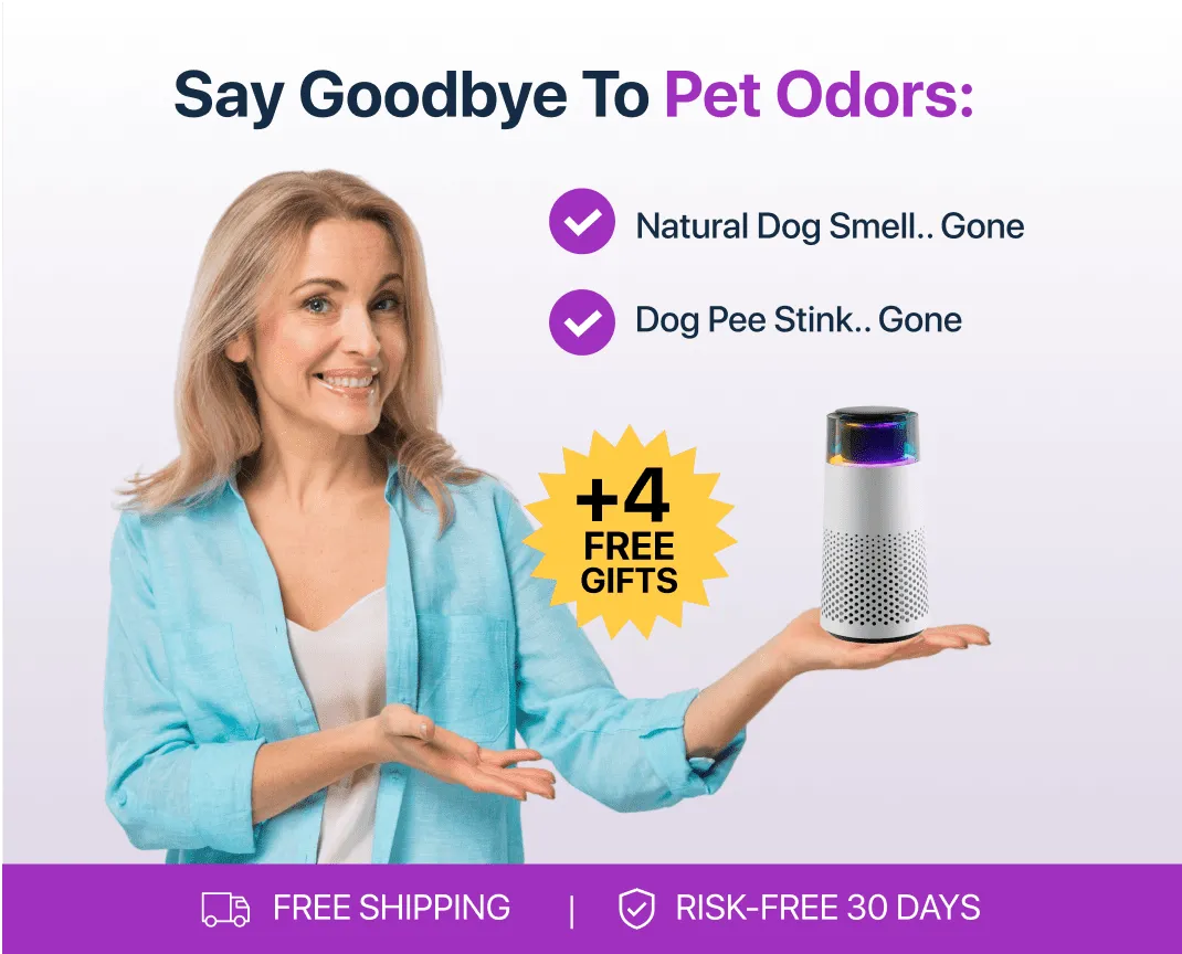 Lisslune | Pet Odour Humidifier – PetFresh