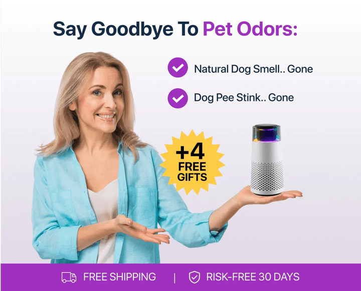 Lisslune | Pet Odour Humidifier – PetFresh