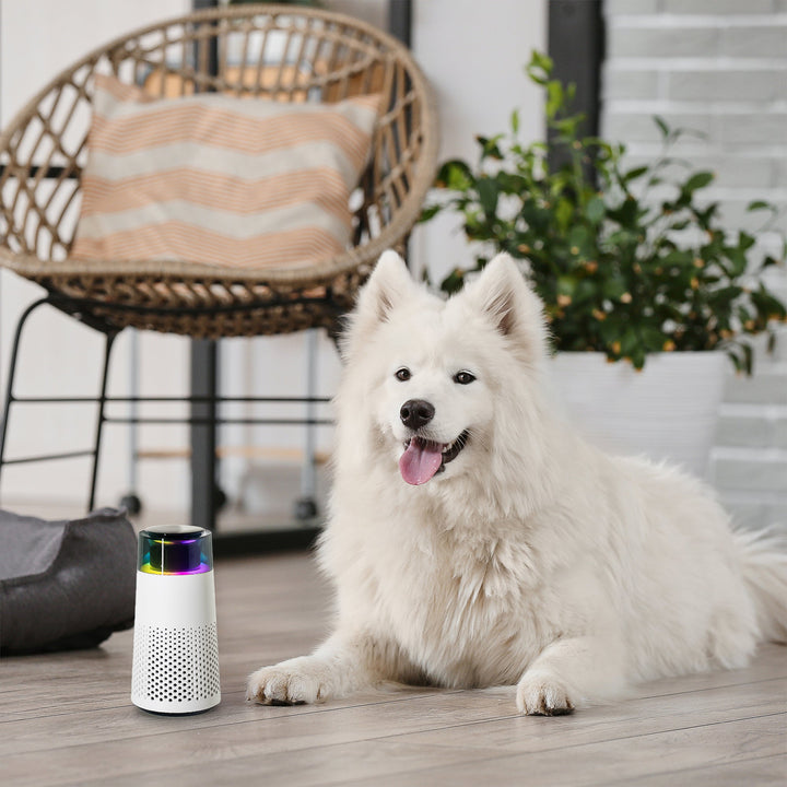 Lisslune | Pet Odour Humidifier – PetFresh