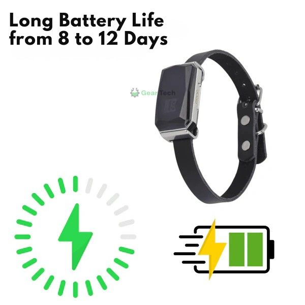 Lisslune | GPS Dog Collar | Waterproof, Adjustable & Unlimited Range for Real-Time Tracking