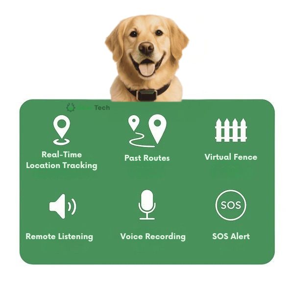 Lisslune | GPS Dog Collar | Waterproof, Adjustable & Unlimited Range for Real-Time Tracking