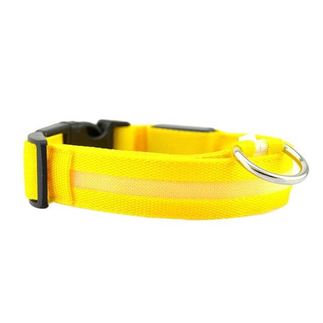 Lisslune | GlowPets LED Collar – Safety & Visibility for Pets