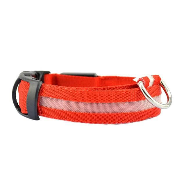 Lisslune | GlowPets LED Collar – Safety & Visibility for Pets