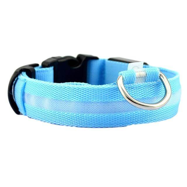 Lisslune | GlowPets LED Collar – Safety & Visibility for Pets