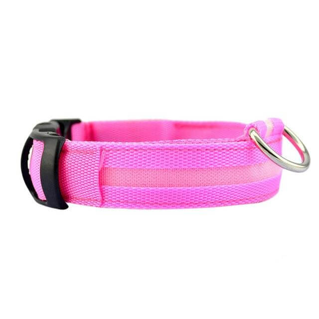 Lisslune | GlowPets LED Collar – Safety & Visibility for Pets
