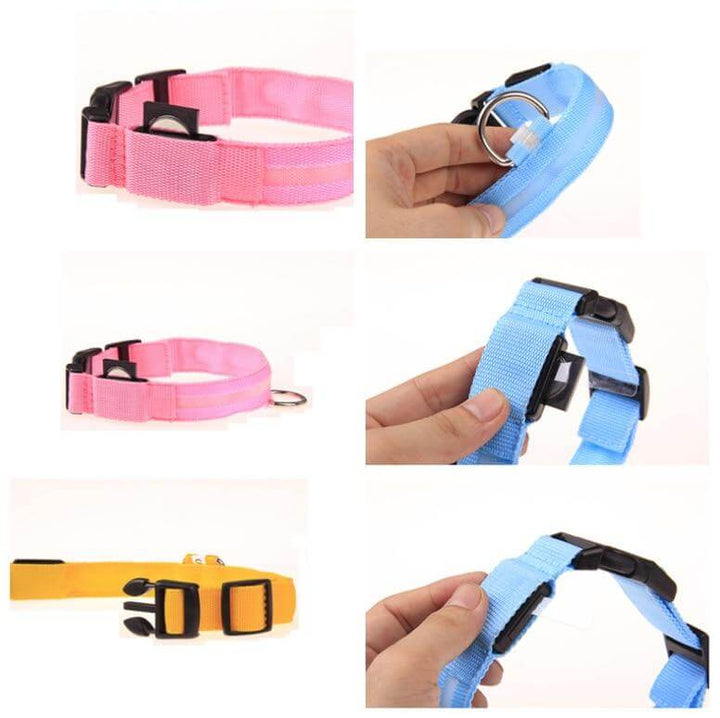 Lisslune | GlowPets LED Collar – Safety & Visibility for Pets