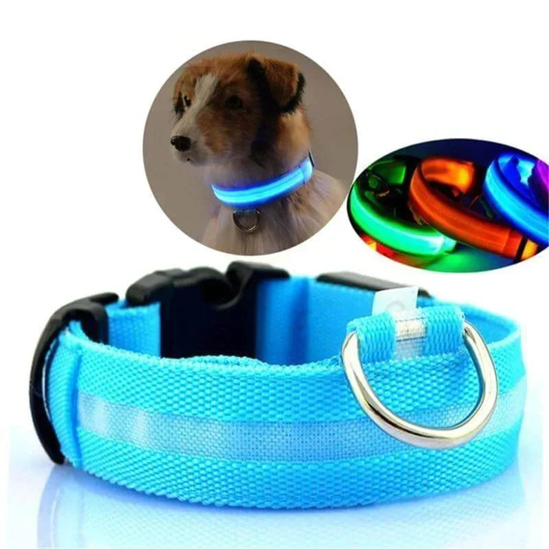 Lisslune | GlowPets LED Collar – Safety & Visibility for Pets