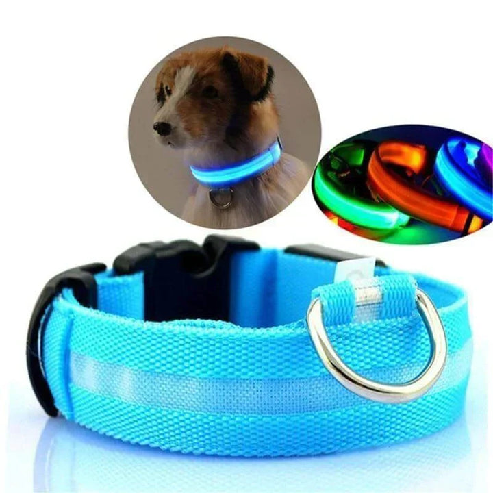 Lisslune | GlowPets LED Collar – Safety & Visibility for Pets