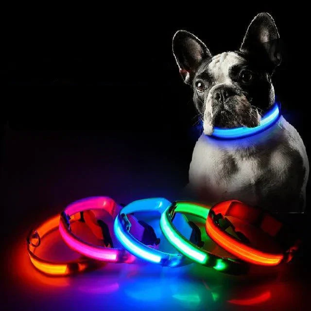 Lisslune | GlowPets LED Collar – Safety & Visibility for Pets