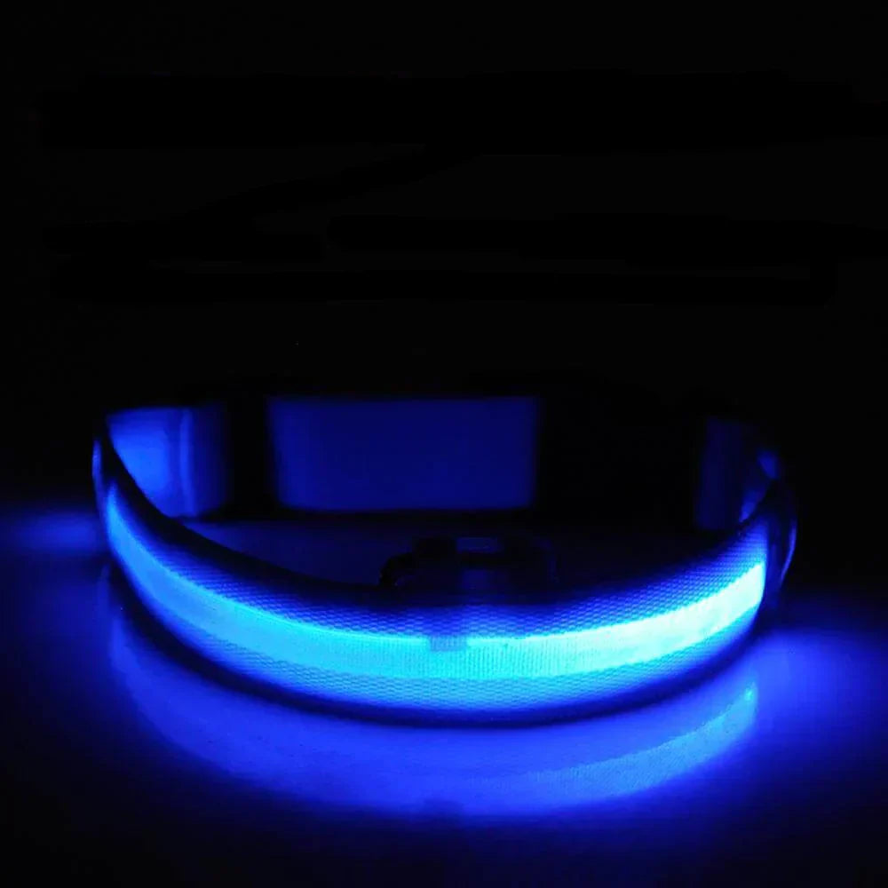 Lisslune | GlowPets LED Collar – Safety & Visibility for Pets