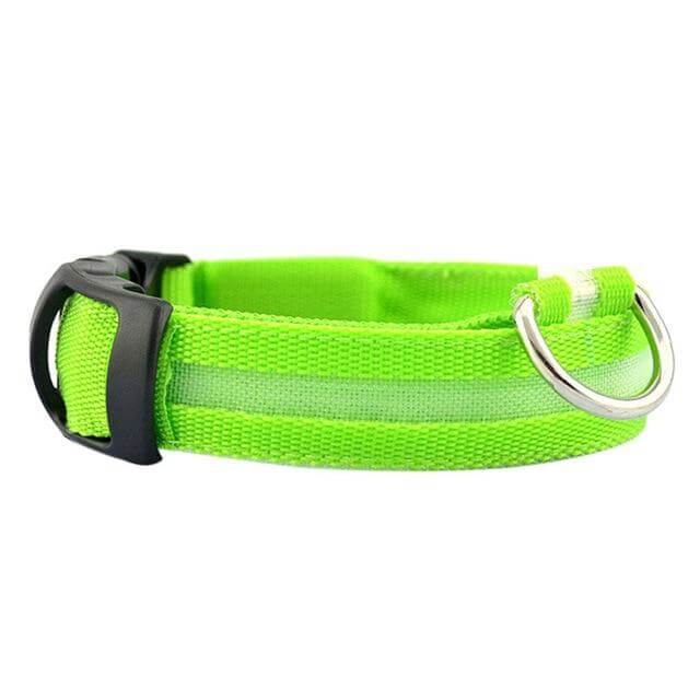 Lisslune | GlowPets LED Collar – Safety & Visibility for Pets