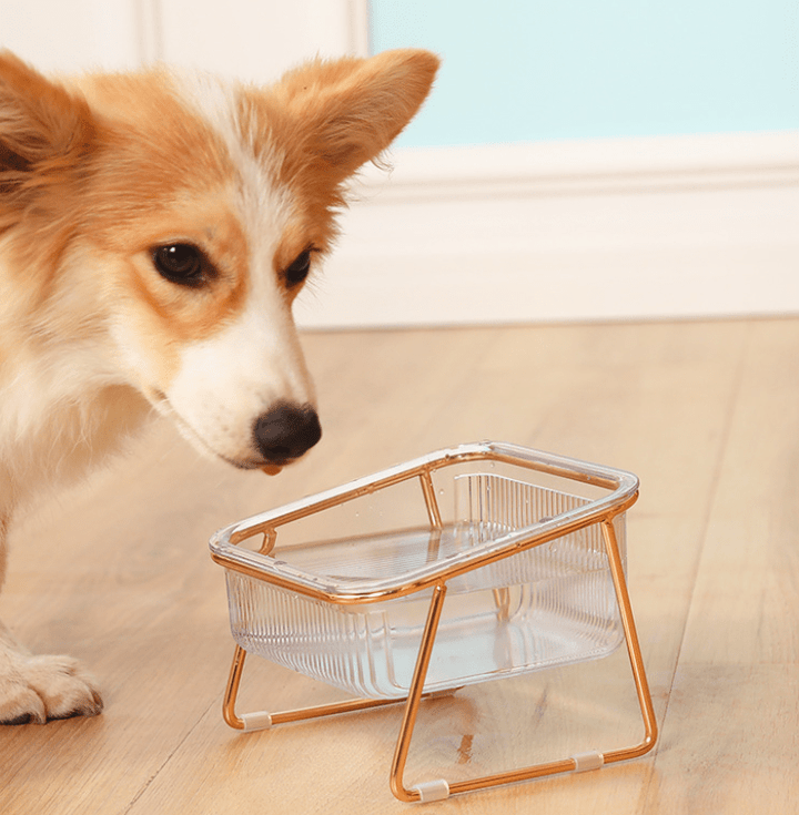 Lisslune | PETCHIC Bowl – Elevated Feeding Bowl for Cats & Small Dogs